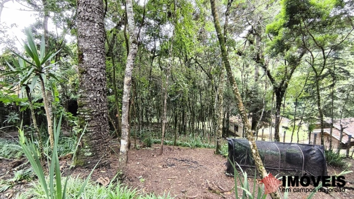 Casa em Jardim das Flores, Campos do Jordão - foto 5