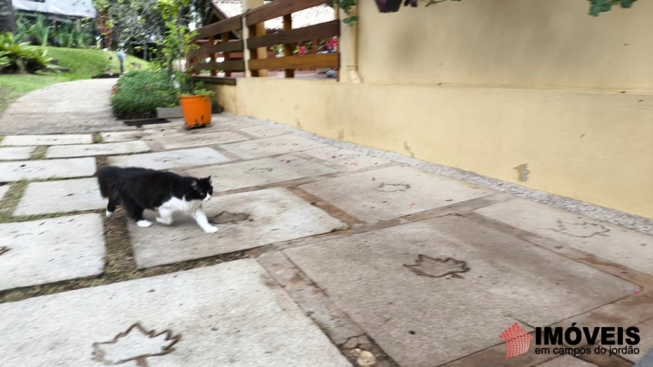 Casa em Jardim das Flores, Campos do Jordão - foto 25