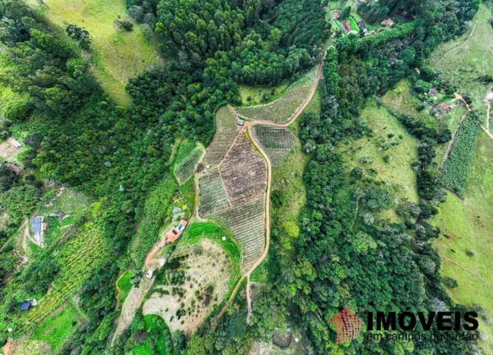 Fazenda em José da Rosa, São Bento do Sapucaí - foto 3