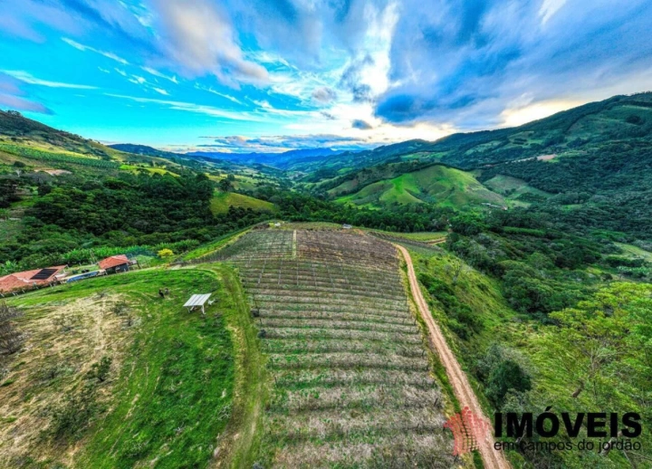Fazenda em José da Rosa, São Bento do Sapucaí - foto 6