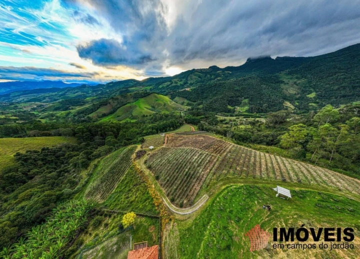 Fazenda em José da Rosa, São Bento do Sapucaí - foto 10