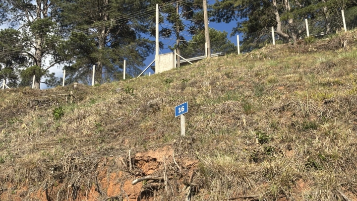 Terreno/Lote em Atalaia, Campos do Jordão - foto 5