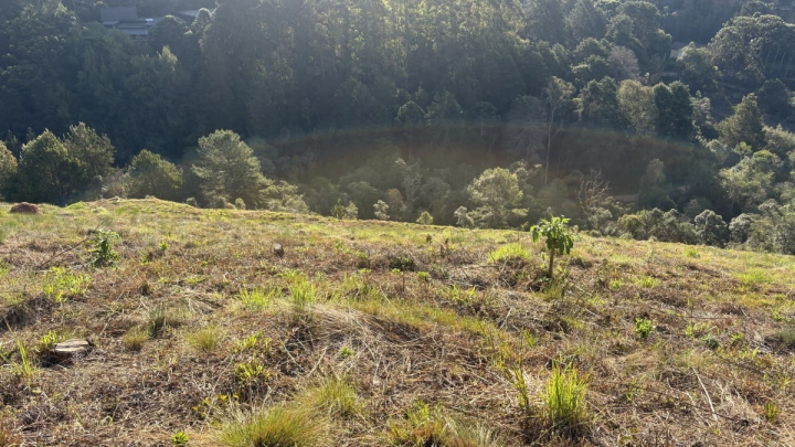 Terreno/Lote em Atalaia, Campos do Jordão - foto 10