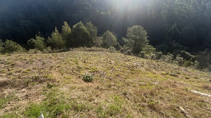 Terreno/Lote em Atalaia, Campos do Jordão - foto 5