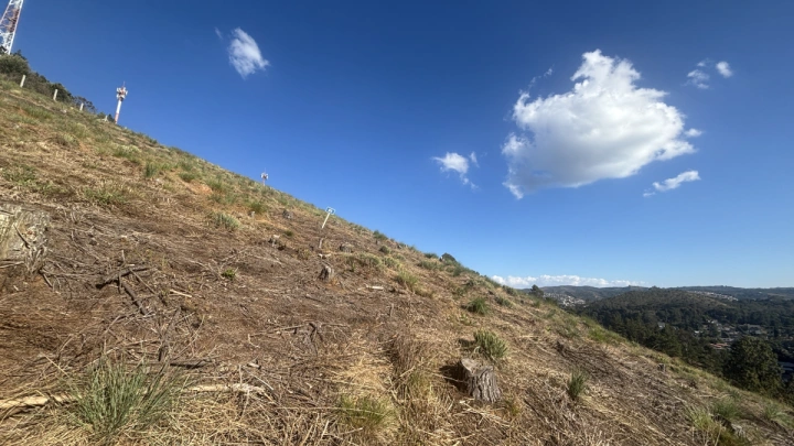 Terreno/Lote em Atalaia, Campos do Jordão - foto 3
