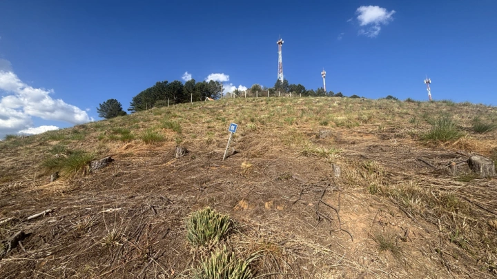 Terreno/Lote em Atalaia, Campos do Jordão - foto 6