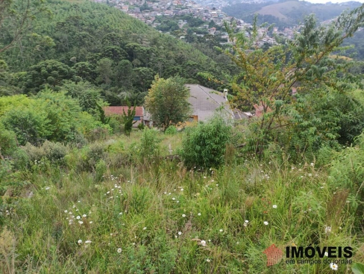 Terreno/Lote em Jardim Sumaré, Campos do Jordão - foto 12