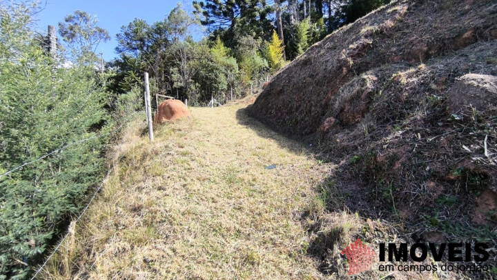 Terreno/Lote em Vila Nova, Campos do Jordão - foto 7