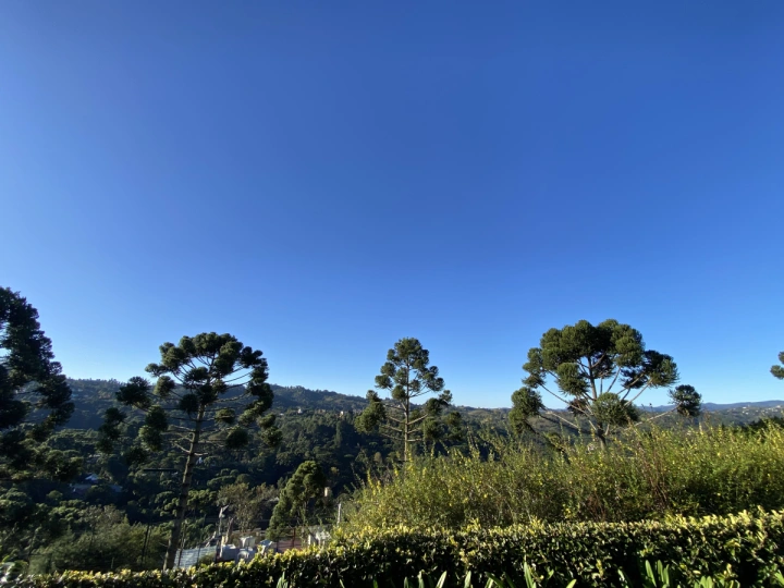 Casa em Jardim Véu da Noiva, Campos do Jordão - foto 37