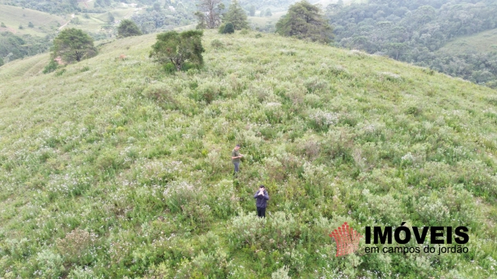 Terreno/Lote em Parque Ferradura, Campos do Jordão - foto 7