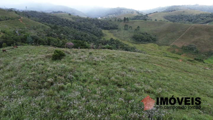 Terreno/Lote em Parque Ferradura, Campos do Jordão - foto 8