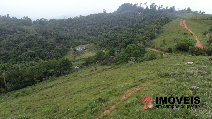 Terreno/Lote em Parque Ferradura, Campos do Jordão - foto 9