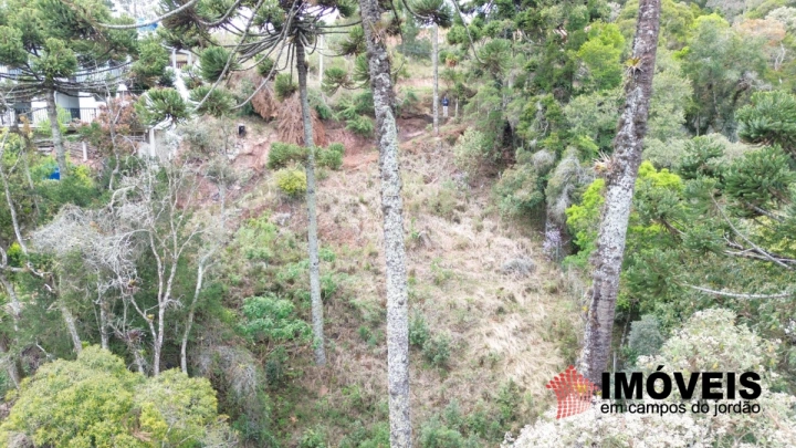 Terreno/Lote em Recanto das Araucárias, Campos do Jordão - foto 2