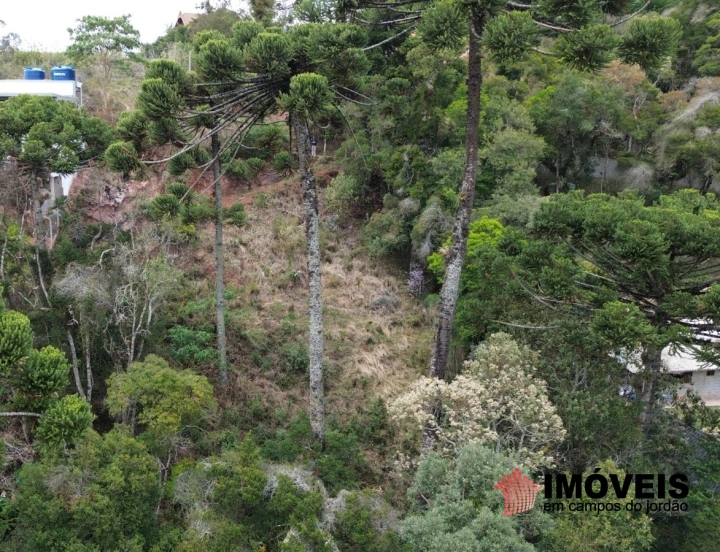 Terreno/Lote em Recanto das Araucárias, Campos do Jordão - foto 3