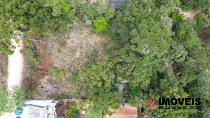 Terreno/Lote em Recanto das Araucárias, Campos do Jordão - foto 1