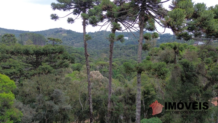 Terreno/Lote em Recanto das Araucárias, Campos do Jordão - foto 4