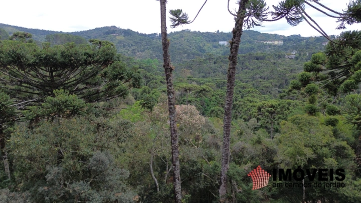 Terreno/Lote em Recanto das Araucárias, Campos do Jordão - foto 5