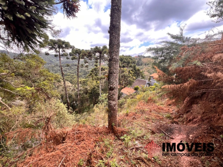 Terreno/Lote em Recanto das Araucárias, Campos do Jordão - foto 6