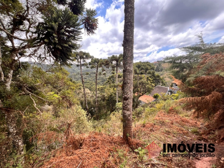 Terreno/Lote em Recanto das Araucárias, Campos do Jordão - foto 7