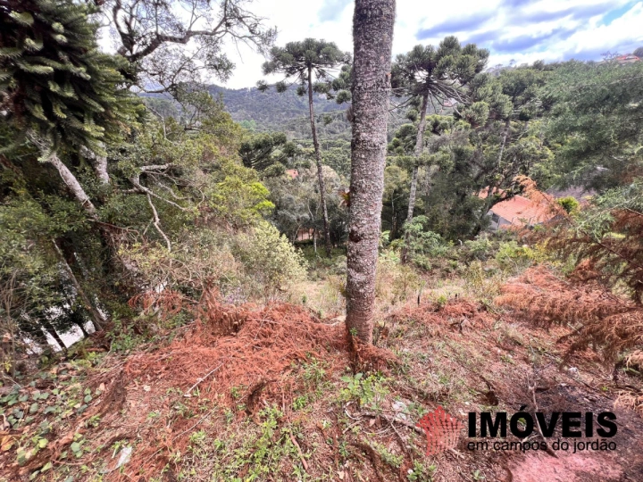 Terreno/Lote em Recanto das Araucárias, Campos do Jordão - foto 8