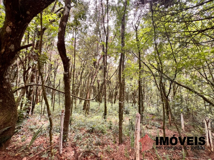 Terreno/Lote em Vila Natal, Campos do Jordão - foto 1