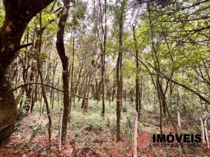 Terreno/Lote em Vila Natal, Campos do Jordão