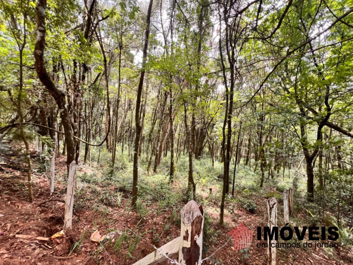 Terreno/Lote em Vila Natal, Campos do Jordão - foto 3