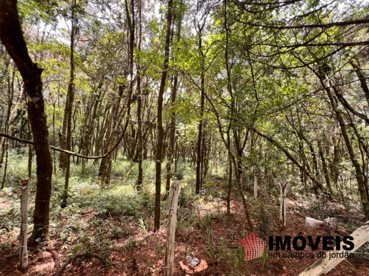 Terreno/Lote em Vila Natal, Campos do Jordão - foto 4