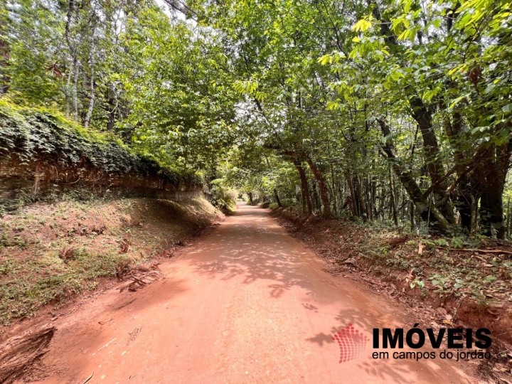 Terreno/Lote em Vila Natal, Campos do Jordão - foto 2