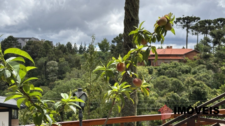 Apartamento em Alto do Capivari, Campos do Jordão - foto 29
