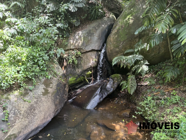 Sítio em Serrano, São Bento do Sapucaí - foto 55