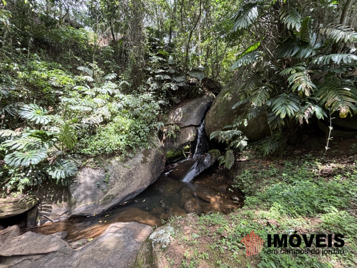 Sítio em Serrano, São Bento do Sapucaí - foto 56