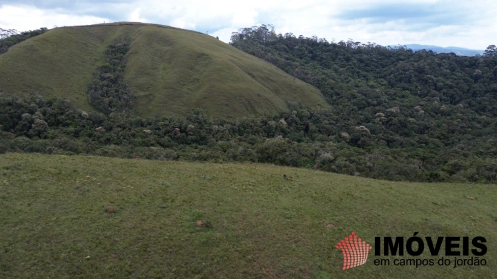 Área para Incorporação em Parque Ferradura, Campos do Jordão - foto 10