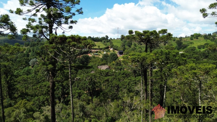 Terreno/Lote em Jardim Cataguases, Campos do Jordão - foto 2