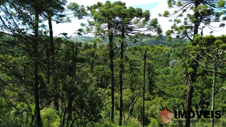 Terreno/Lote em Jardim Cataguases, Campos do Jordão - foto 3