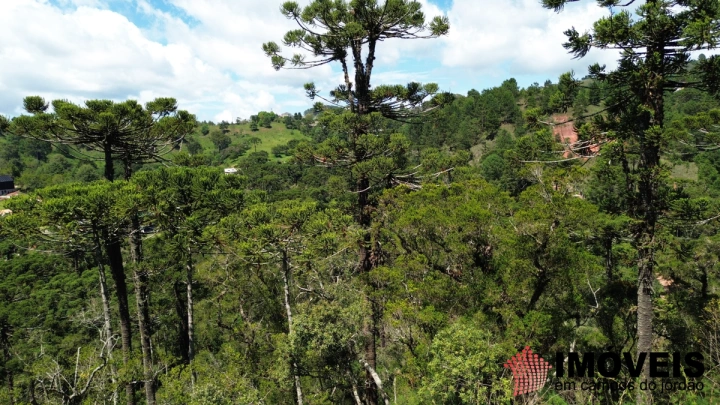 Terreno/Lote em Jardim Cataguases, Campos do Jordão - foto 4
