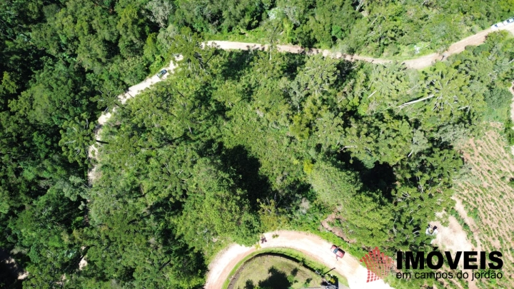 Terreno/Lote em Jardim Cataguases, Campos do Jordão - foto 5