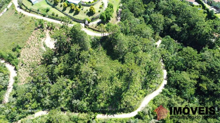 Terreno/Lote em Jardim Cataguases, Campos do Jordão - foto 6
