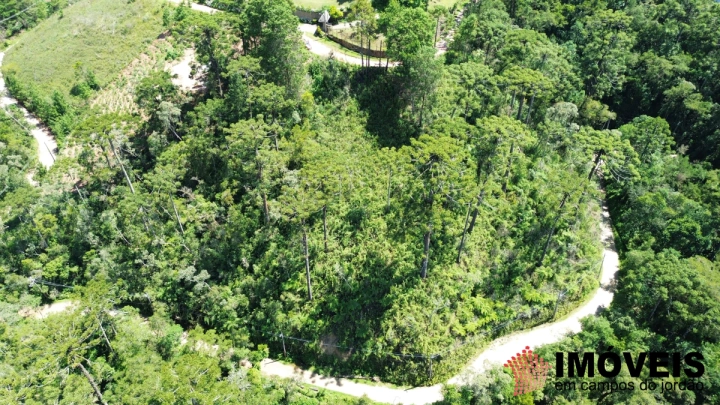 Terreno/Lote em Jardim Cataguases, Campos do Jordão - foto 7
