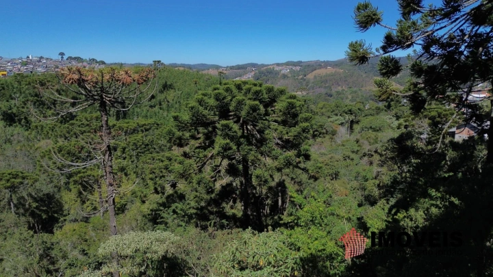 Terreno/Lote em Jardim Sumaré, Campos do Jordão - foto 2