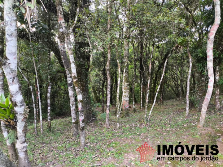 Casa em Vale Feliz, Campos do Jordão - foto 3