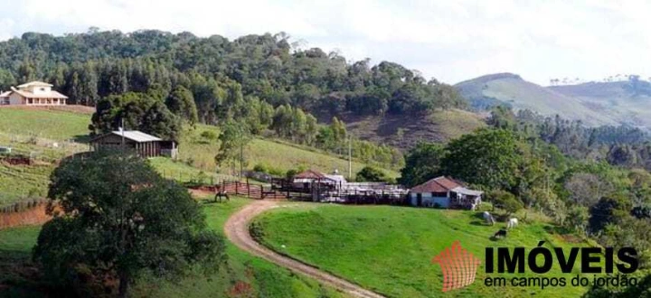 Fazenda em Sapucaí Mirim, Sapucaí-Mirim - foto 4