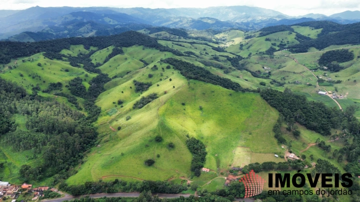 Fazenda em Sapucaí Mirim, Sapucaí-Mirim - foto 8