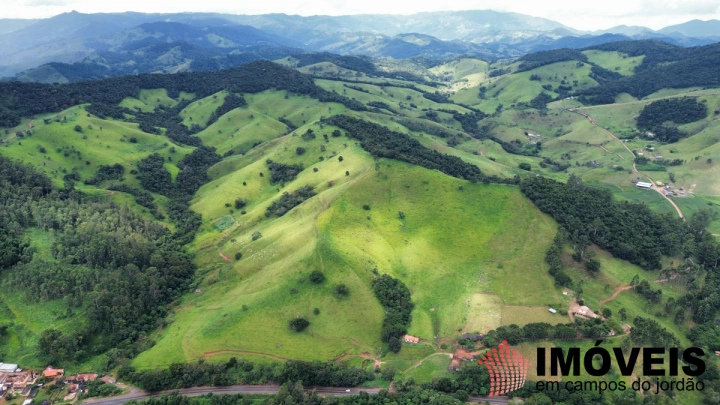 Fazenda em Sapucaí Mirim, Sapucaí-Mirim - foto 9