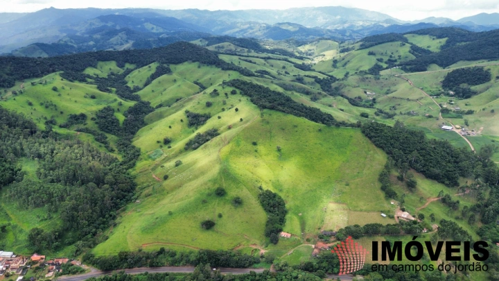 Fazenda em Sapucaí Mirim, Sapucaí-Mirim - foto 10