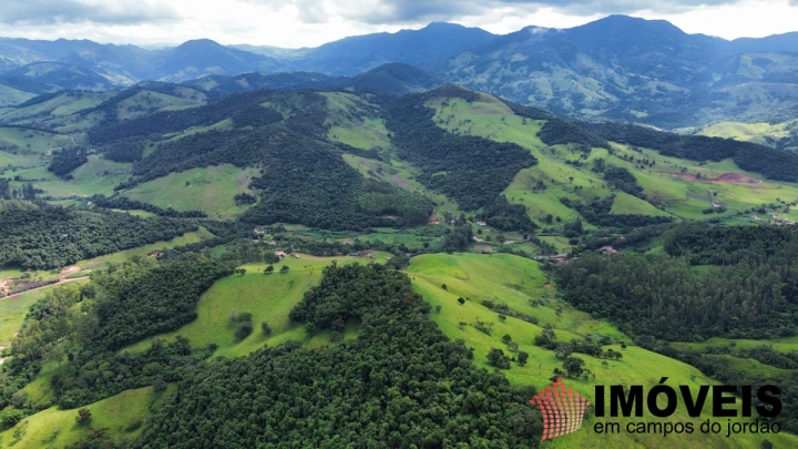 Fazenda em Sapucaí Mirim, Sapucaí-Mirim - foto 11