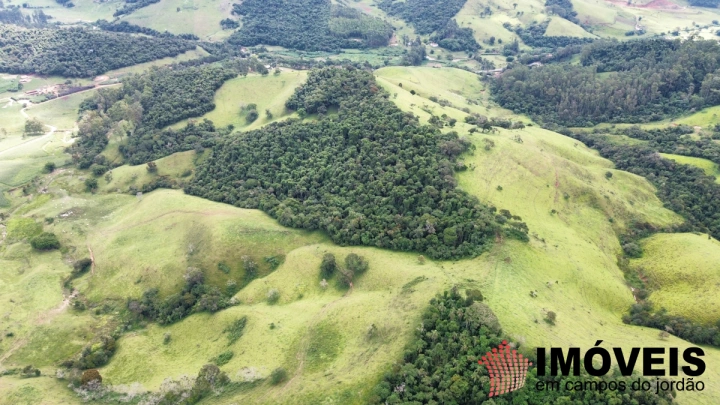 Fazenda em Sapucaí Mirim, Sapucaí-Mirim - foto 12