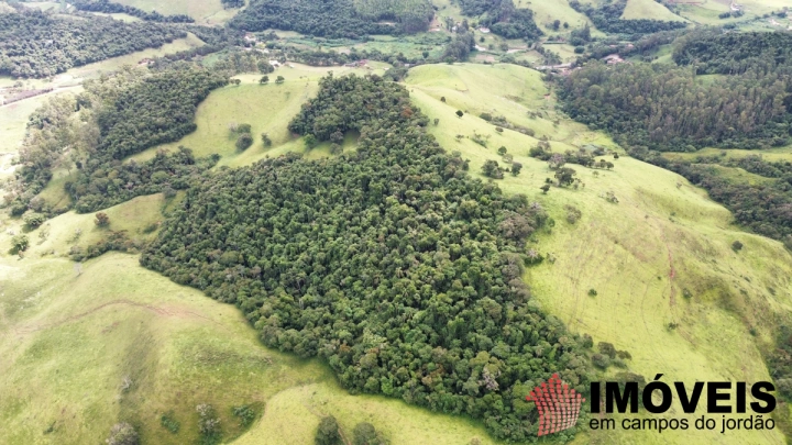 Fazenda em Sapucaí Mirim, Sapucaí-Mirim - foto 13