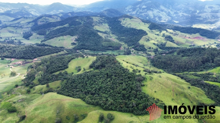 Fazenda em Sapucaí Mirim, Sapucaí-Mirim - foto 14