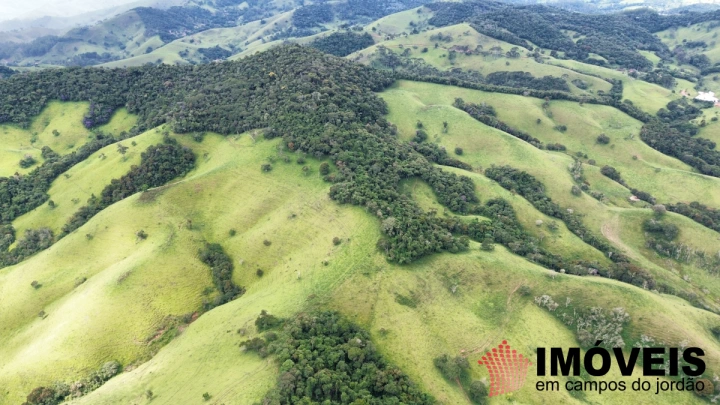 Fazenda em Sapucaí Mirim, Sapucaí-Mirim - foto 15